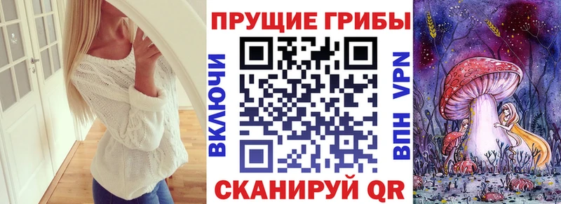 Галлюциногенные грибы прущие грибы  где продают наркотики  Няндома 
